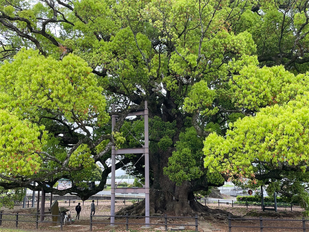 f:id:Aishirou:20230414234747j:image f:id:Aishirou:20230414234747j:image