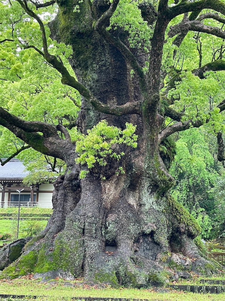 f:id:Aishirou:20230416064104j:image