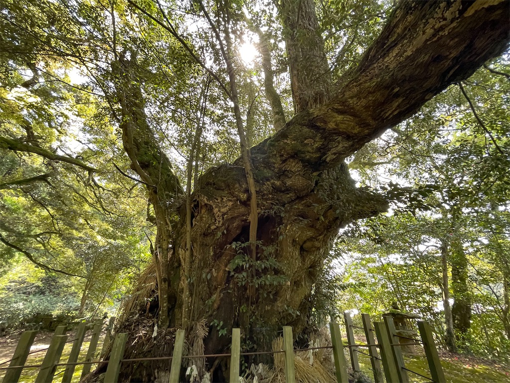 f:id:Aishirou:20230418080039j:image f:id:Aishirou:20230418080039j:image