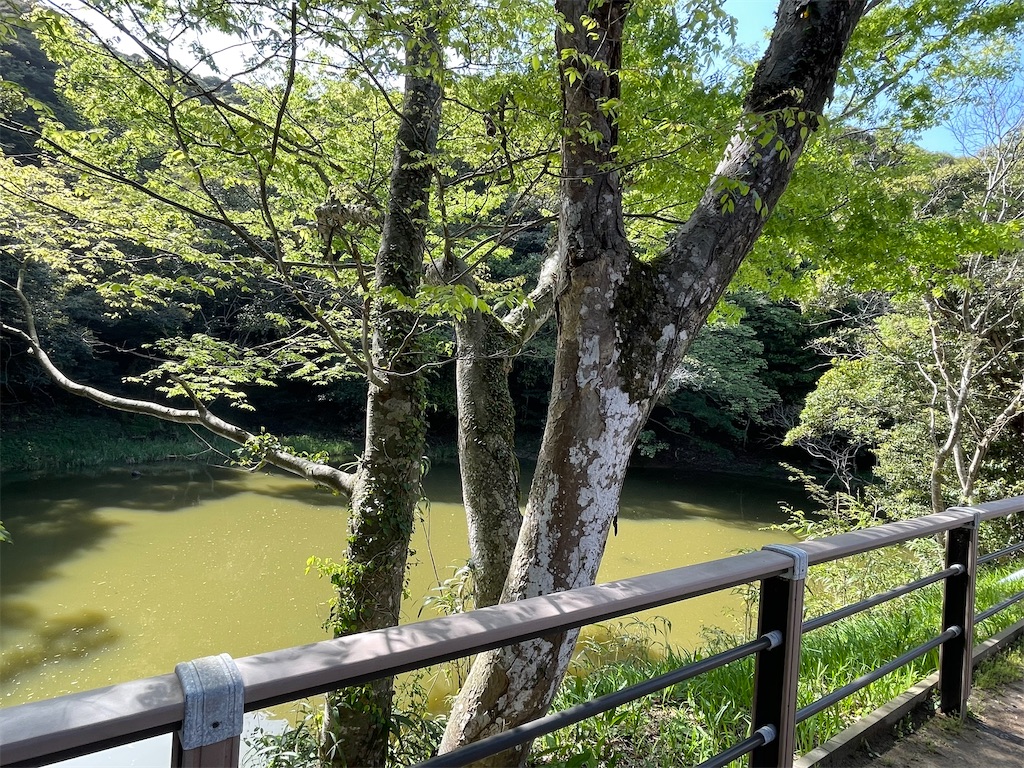 f:id:Aishirou:20230418080047j:image f:id:Aishirou:20230418080047j:image