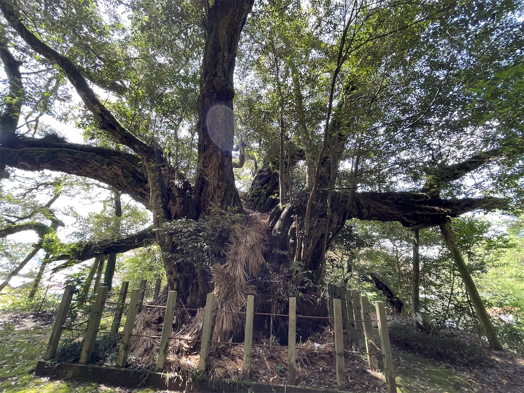 f:id:Aishirou:20230418080058j:image f:id:Aishirou:20230418080058j:image