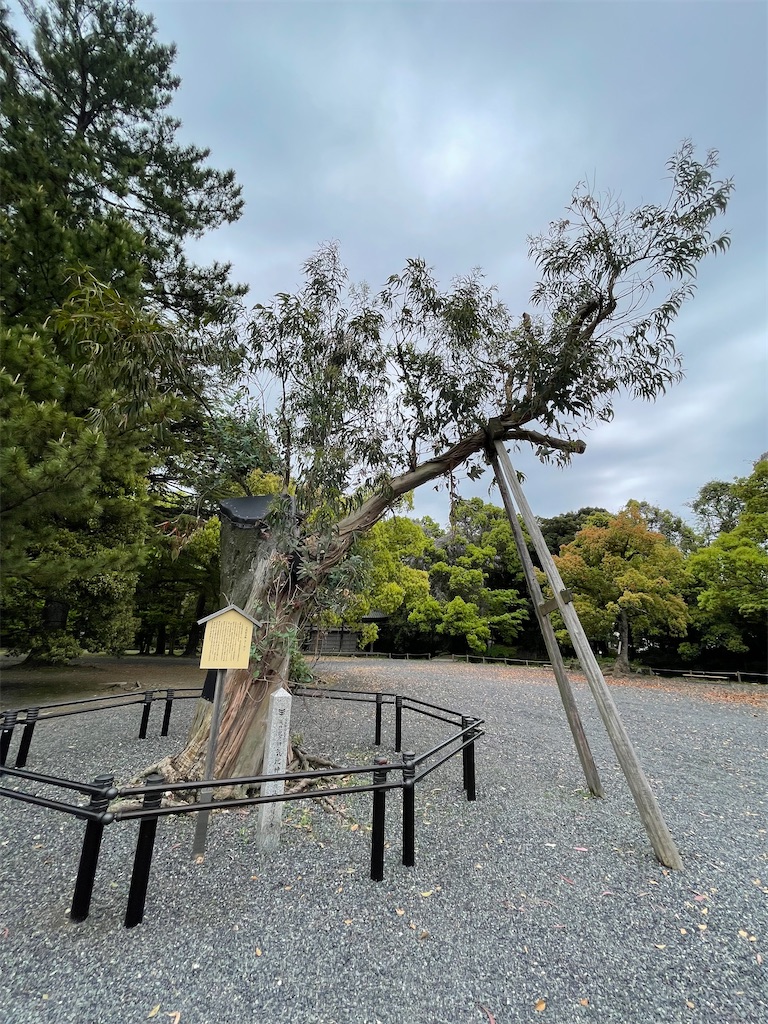 f:id:Aishirou:20230420070730j:image f:id:Aishirou:20230420070730j:image