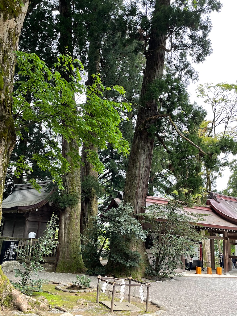 f:id:Aishirou:20230422064353j:image f:id:Aishirou:20230422064353j:image