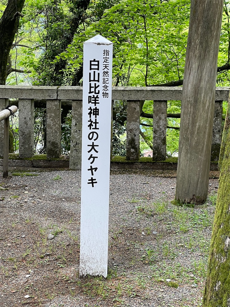 f:id:Aishirou:20230422064402j:image f:id:Aishirou:20230422064402j:image