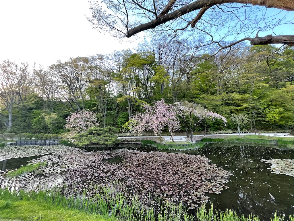 f:id:Aishirou:20230429075905j:image f:id:Aishirou:20230429075905j:image