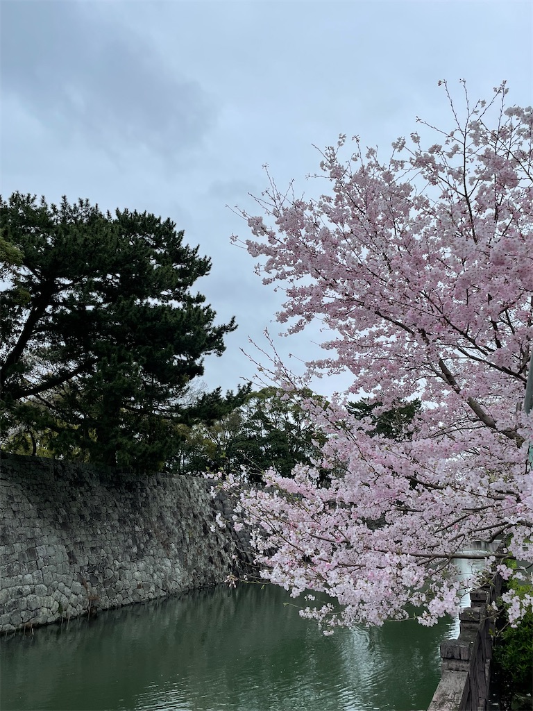 f:id:Aishirou:20230507201446j:image f:id:Aishirou:20230507201446j:image