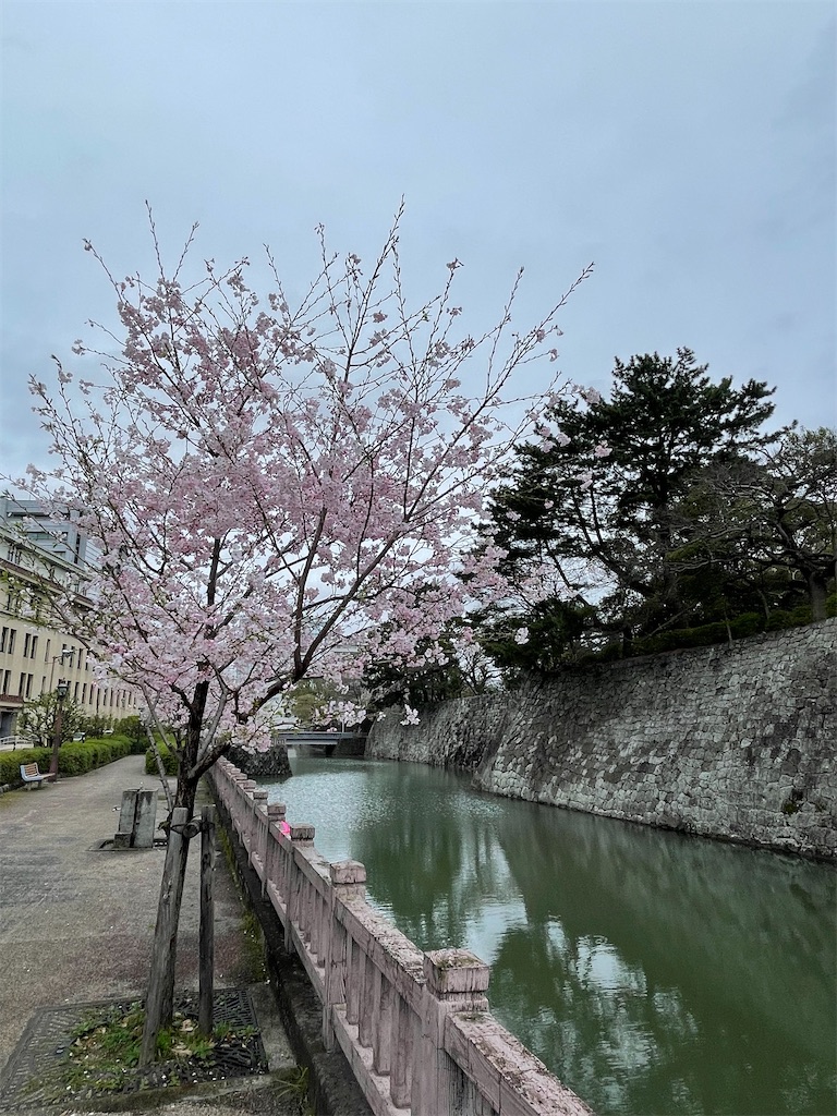 f:id:Aishirou:20230507201508j:image f:id:Aishirou:20230507201508j:image