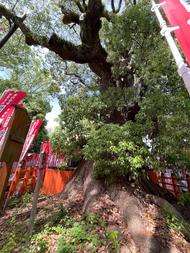 f:id:Aishirou:20230522182852j:image
