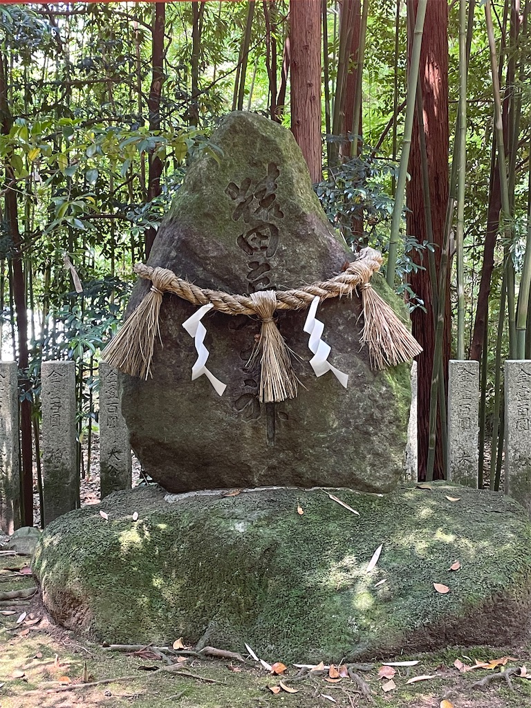f:id:Aishirou:20230524113552j:image