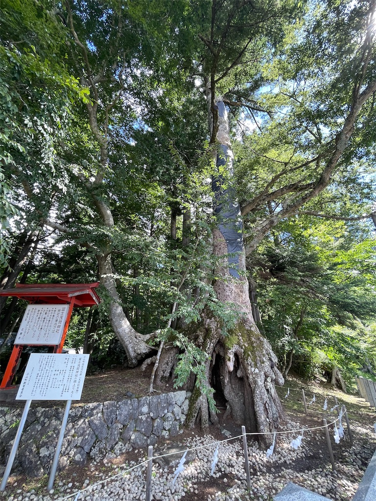 f:id:Aishirou:20230901175506j:image f:id:Aishirou:20230901175506j:image