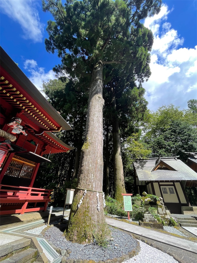 f:id:Aishirou:20230901175532j:image f:id:Aishirou:20230901175532j:image