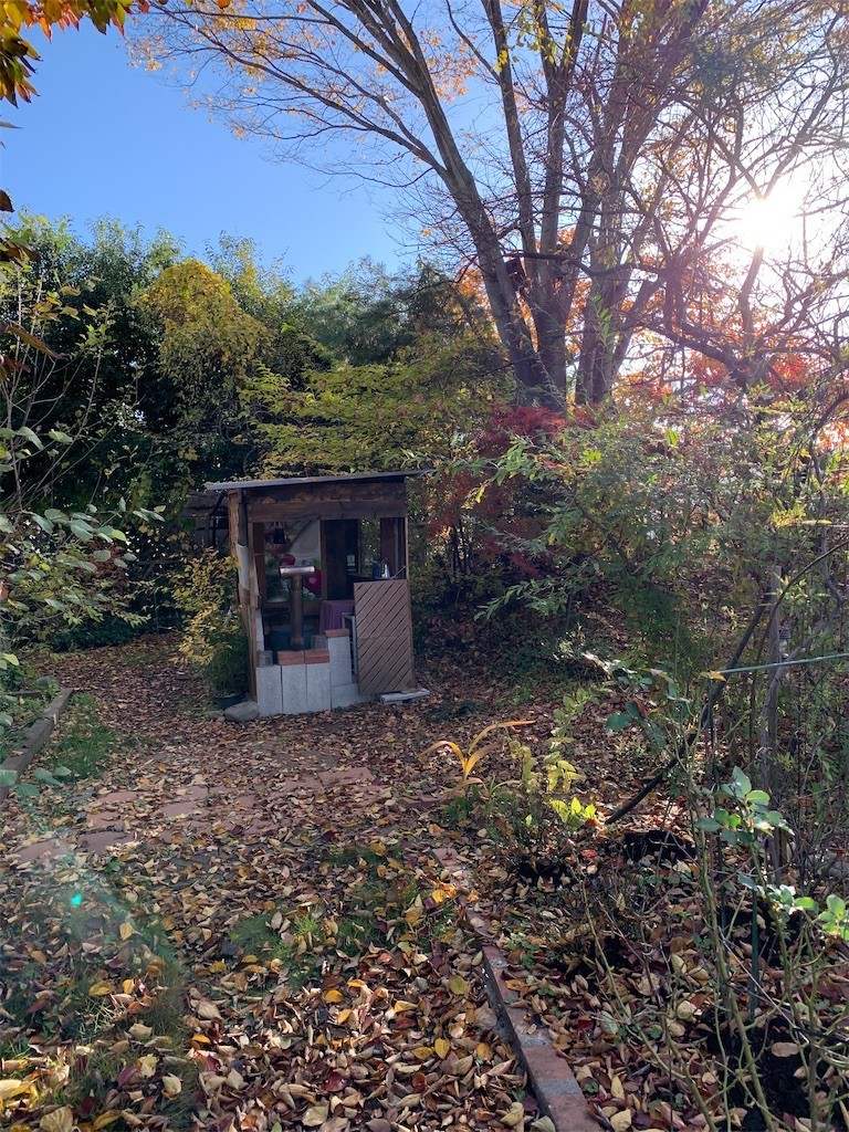 f:id:AisomeSin:20201111083009j:image f:id:AisomeSin:20201111083009j:image