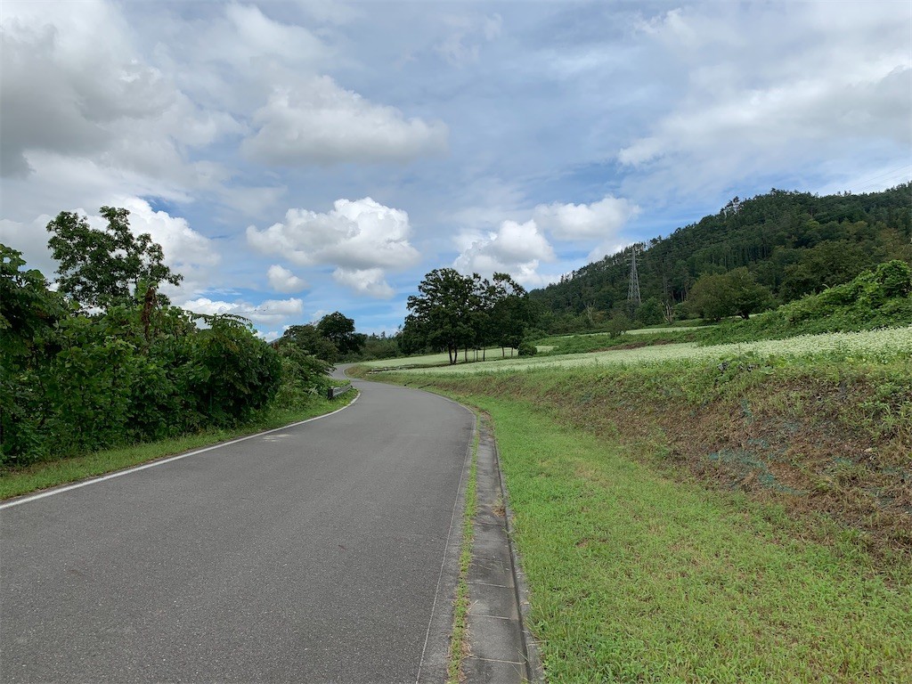 f:id:AisomeSin:20201204115107j:image f:id:AisomeSin:20201204115107j:image