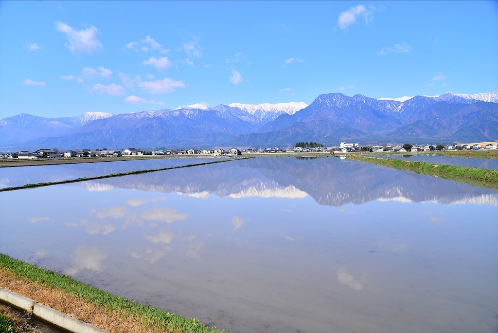 f:id:AisomeSin:20201204115313j:image f:id:AisomeSin:20201204115313j:image