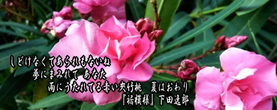 f:id:Aisora2a:20120922210742j:image
