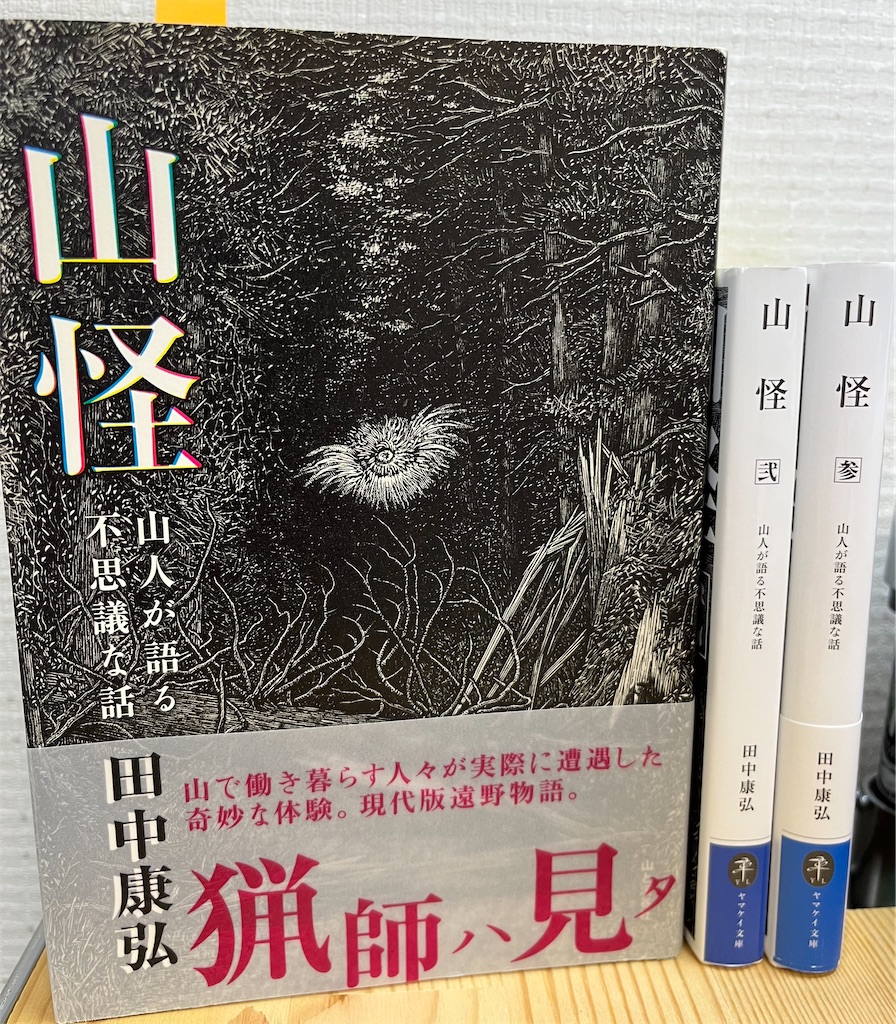 f:id:AitoSatori:20220731150545j:image