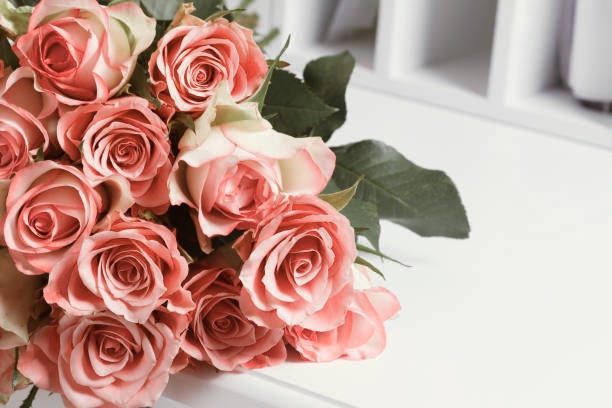 f:id:AkMk:20190416105842j:plain f:id:AkMk:20190416105842j:plain