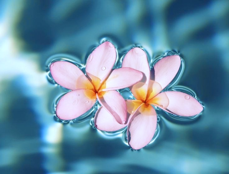 f:id:AkMk:20190416111519j:plain f:id:AkMk:20190416111519j:plain