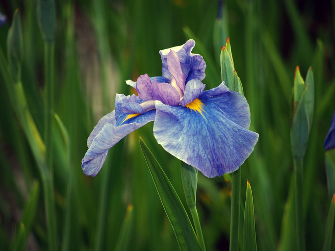 f:id:AkMk:20190416112213j:plain f:id:AkMk:20190416112213j:plain