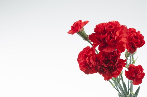 f:id:AkMk:20190416112710j:plain f:id:AkMk:20190416112710j:plain