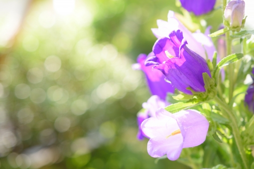 f:id:AkMk:20190416113206j:plain f:id:AkMk:20190416113206j:plain