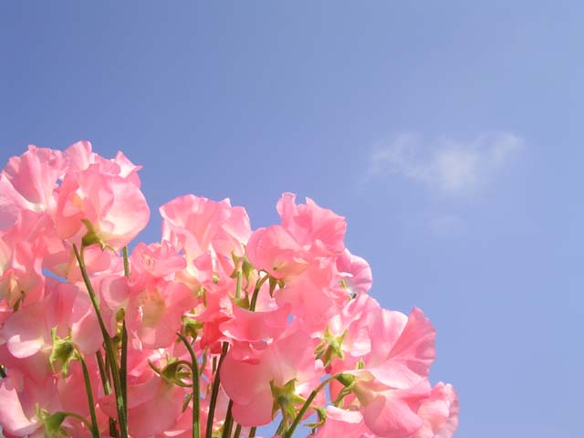 f:id:AkMk:20190416113807j:plain f:id:AkMk:20190416113807j:plain