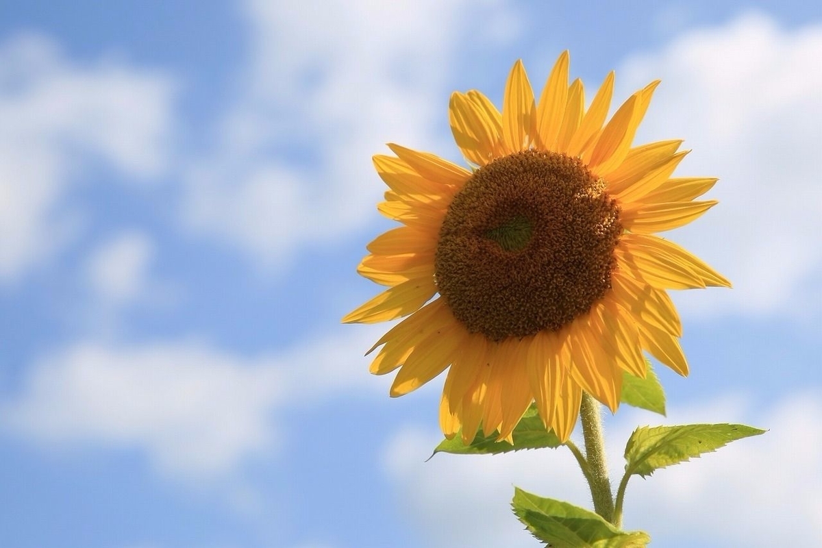 f:id:AkMk:20190416114906j:plain f:id:AkMk:20190416114906j:plain