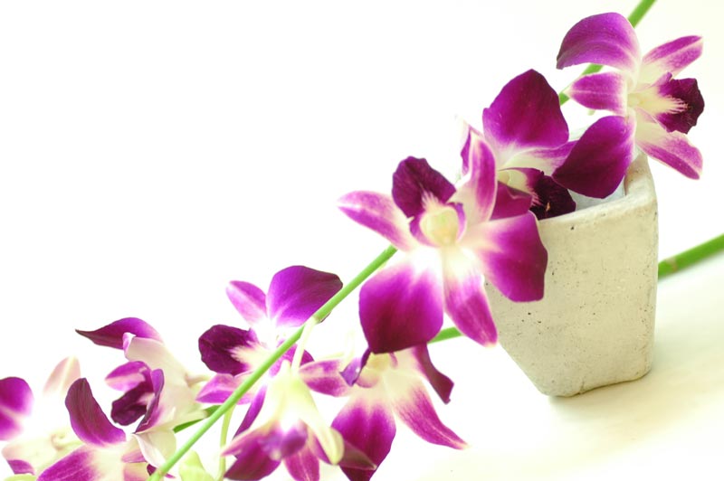 f:id:AkMk:20190416115307j:plain f:id:AkMk:20190416115307j:plain