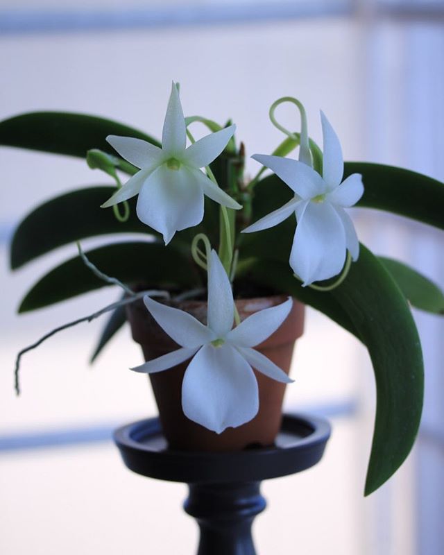 f:id:AkMk:20190416115708j:plain f:id:AkMk:20190416115708j:plain