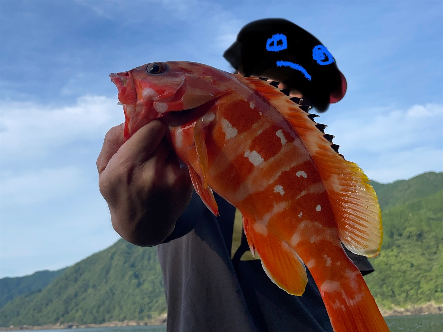 f:id:Akahata:20220721091602j:image