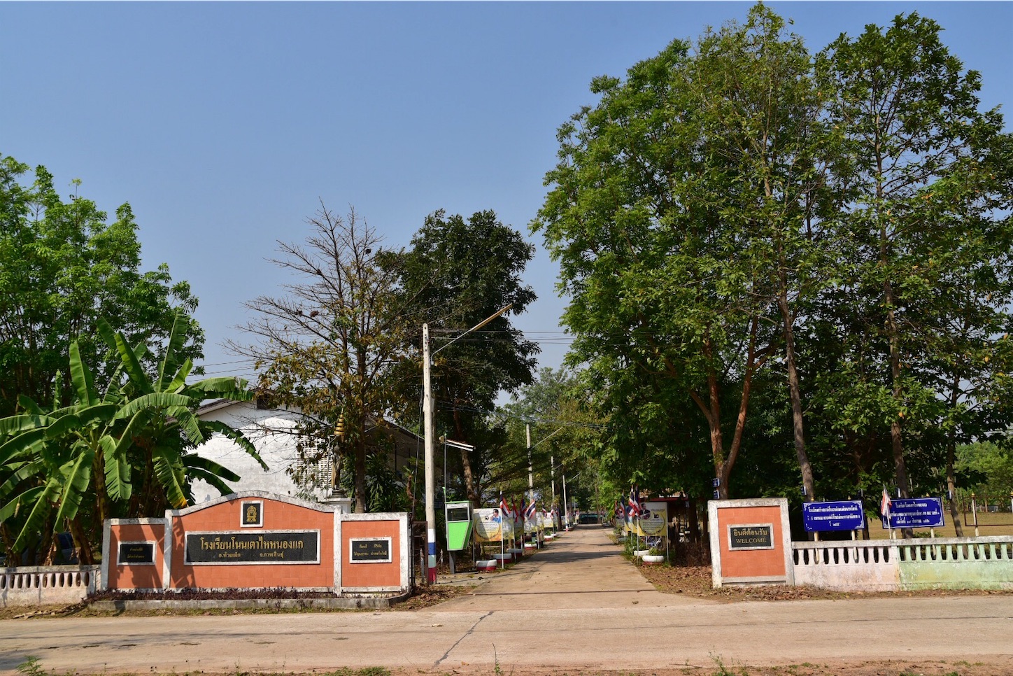 f:id:AkahigeACEC:20190228230136j:image