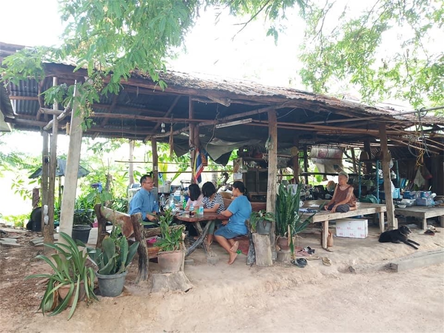 f:id:AkahigeACEC:20200621215657j:image f:id:AkahigeACEC:20200621215657j:image