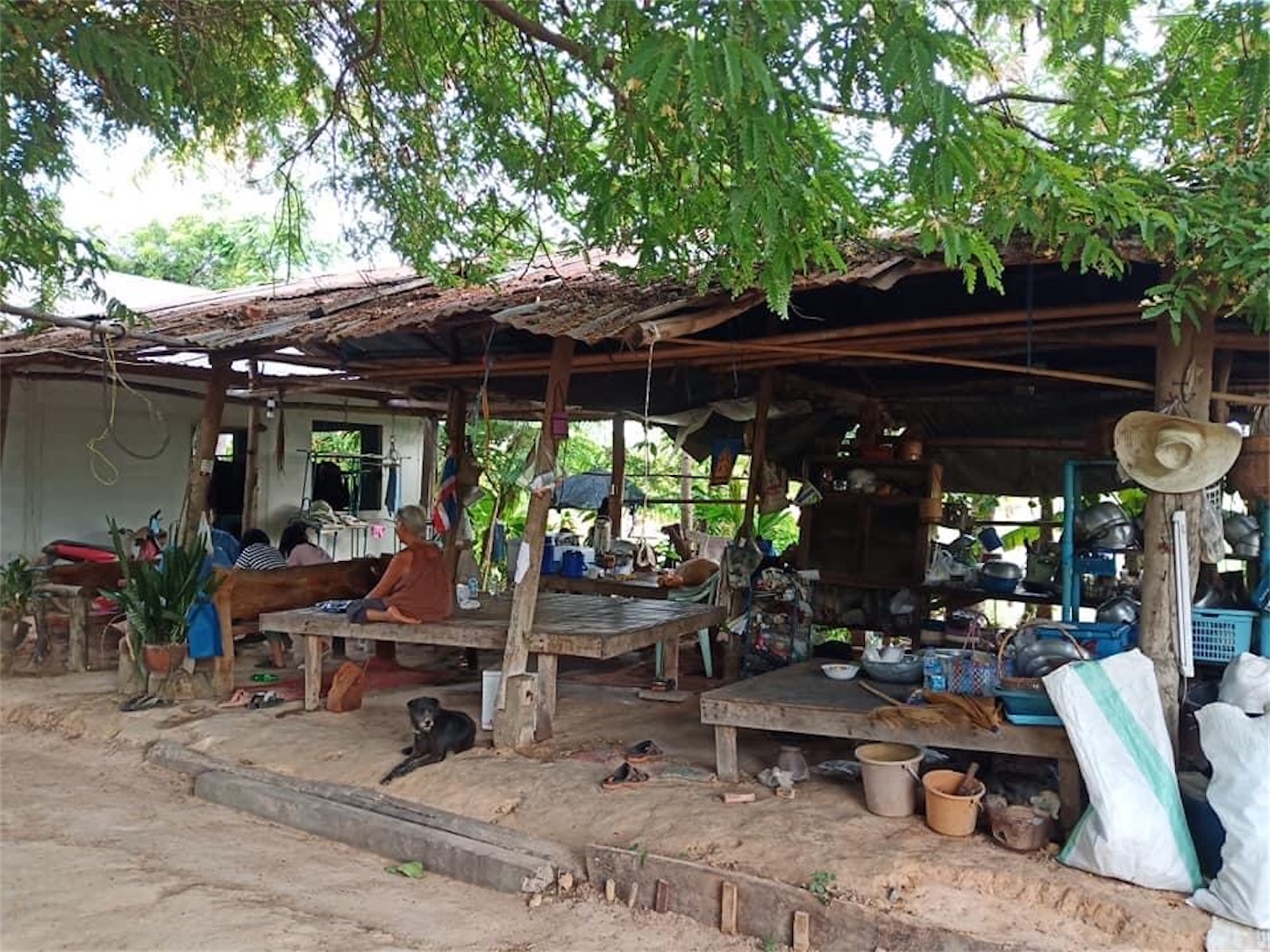 f:id:AkahigeACEC:20200621215701j:image f:id:AkahigeACEC:20200621215701j:image