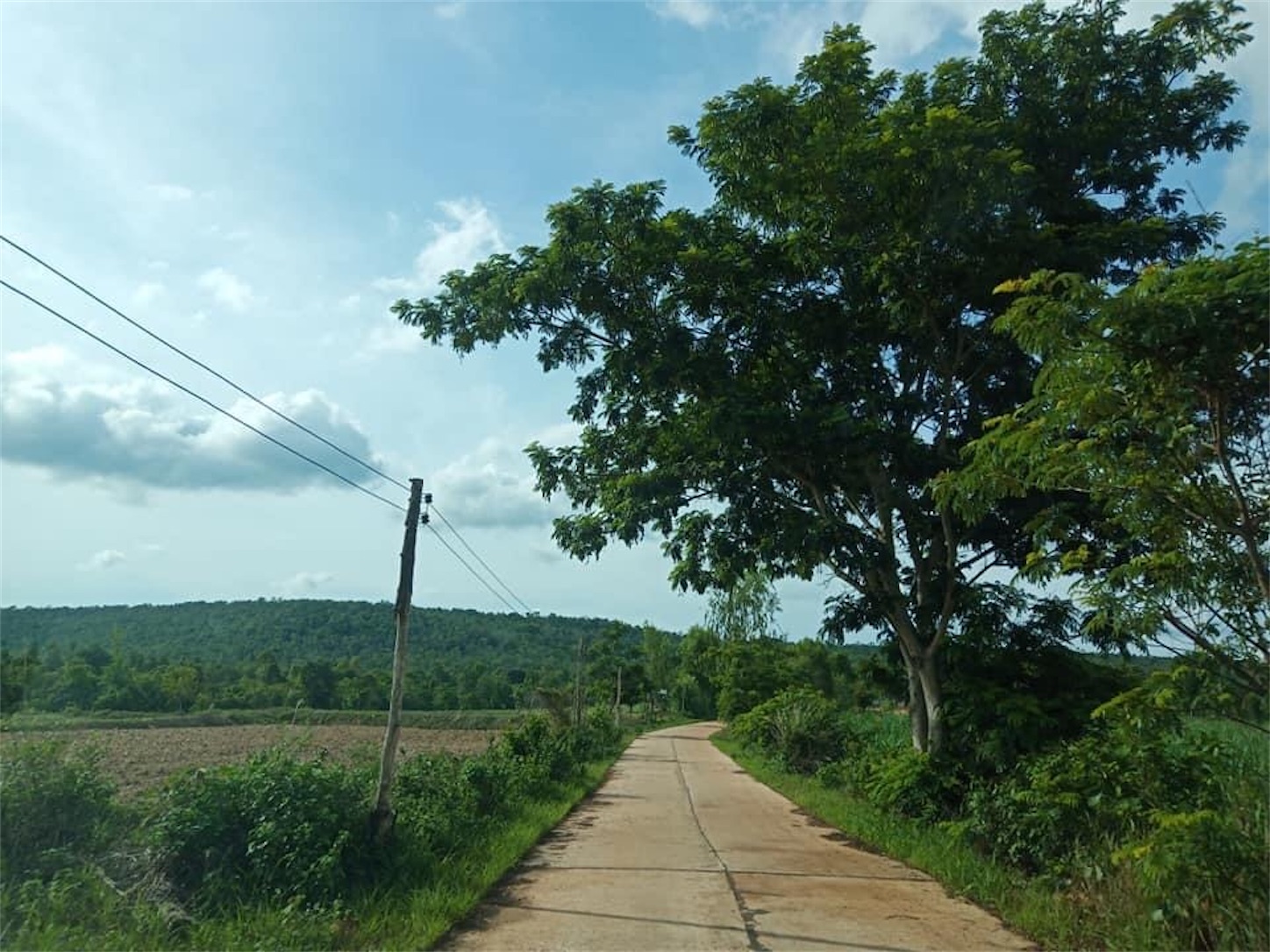 f:id:AkahigeACEC:20200621221820j:image f:id:AkahigeACEC:20200621221820j:image