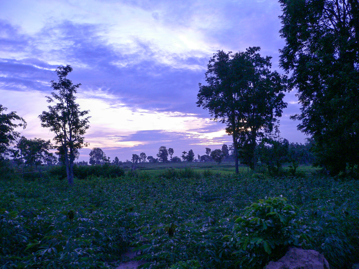 f:id:AkahigeACEC:20210611220801j:plain