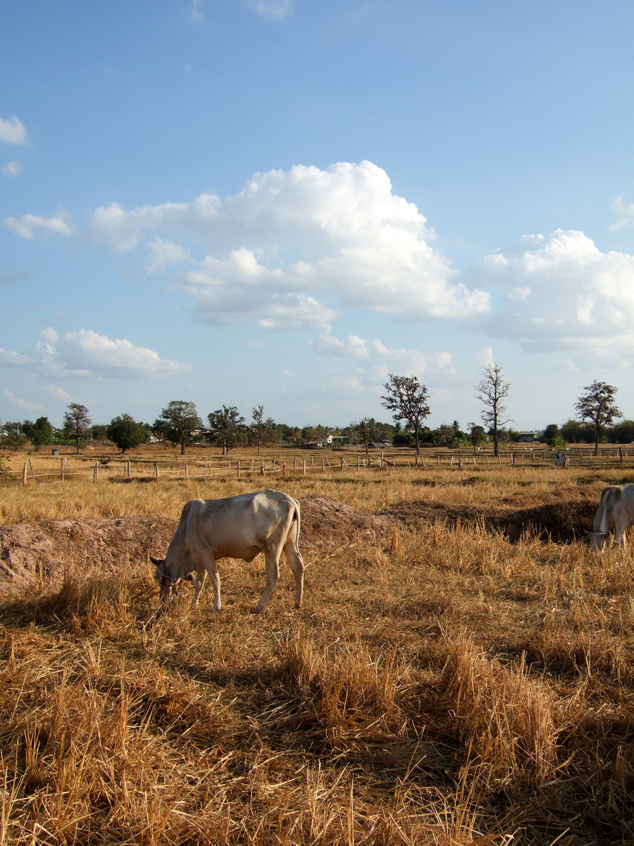 f:id:AkahigeACEC:20210611220930j:plain