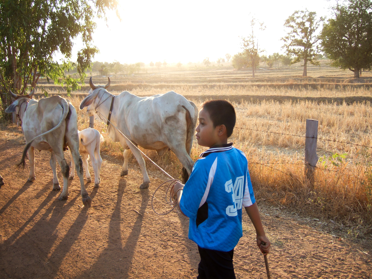 f:id:AkahigeACEC:20210611220951j:plain