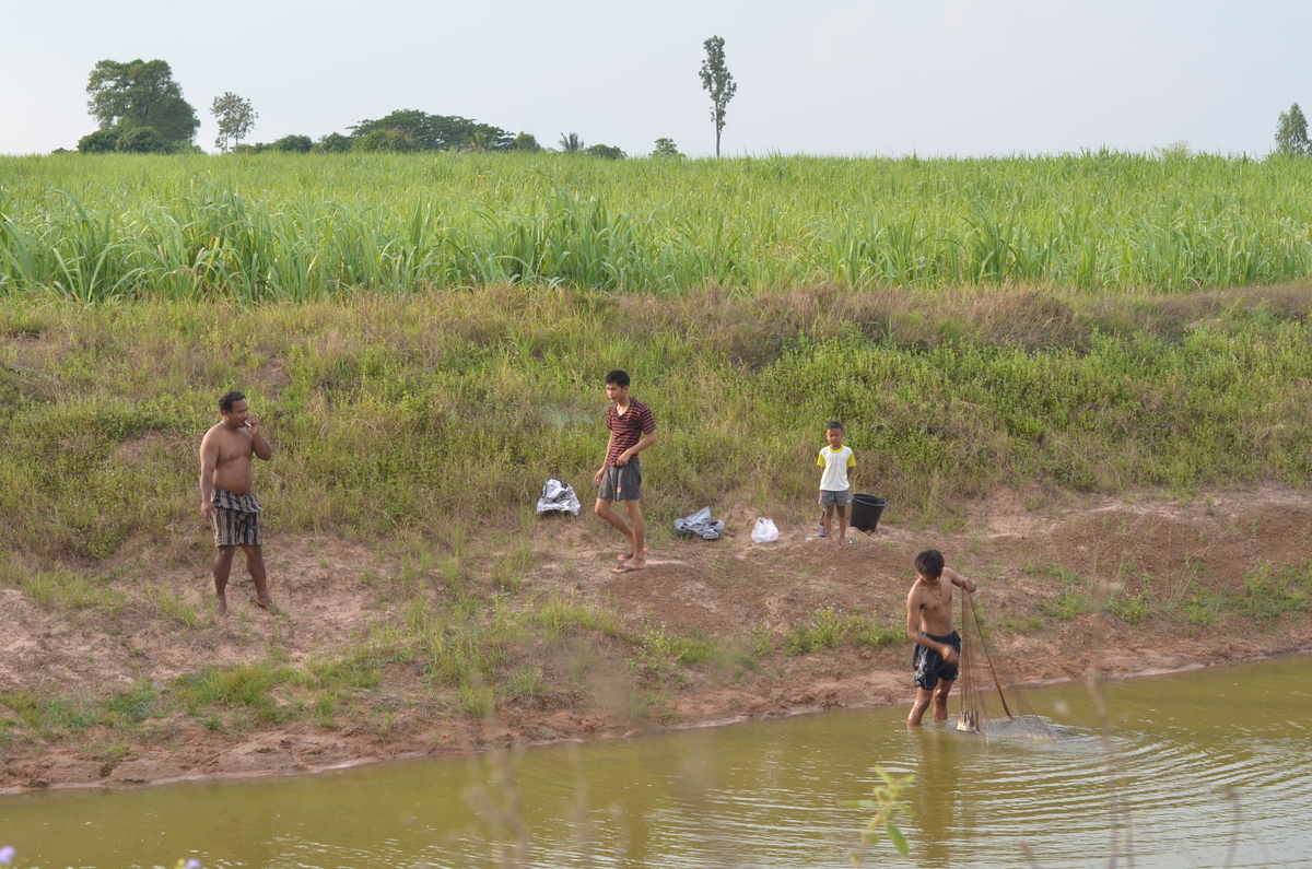 f:id:AkahigeACEC:20210611221016j:plain