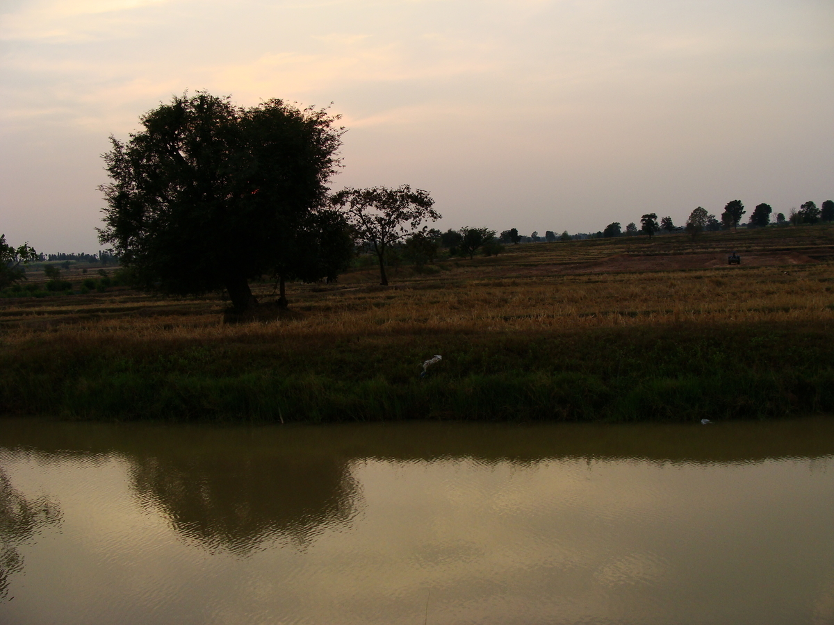 f:id:AkahigeACEC:20210611221245j:plain