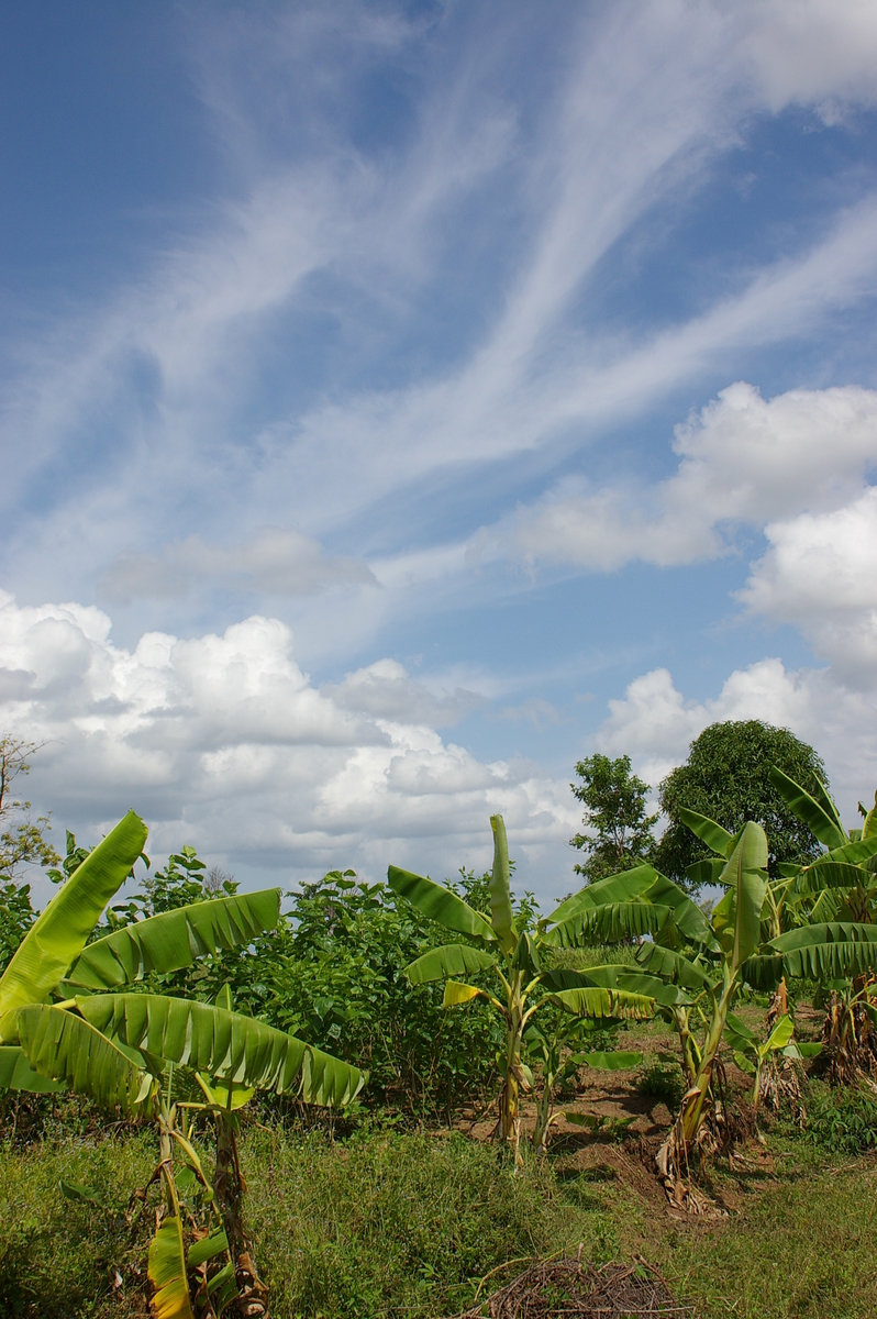 f:id:AkahigeACEC:20210611221444j:plain