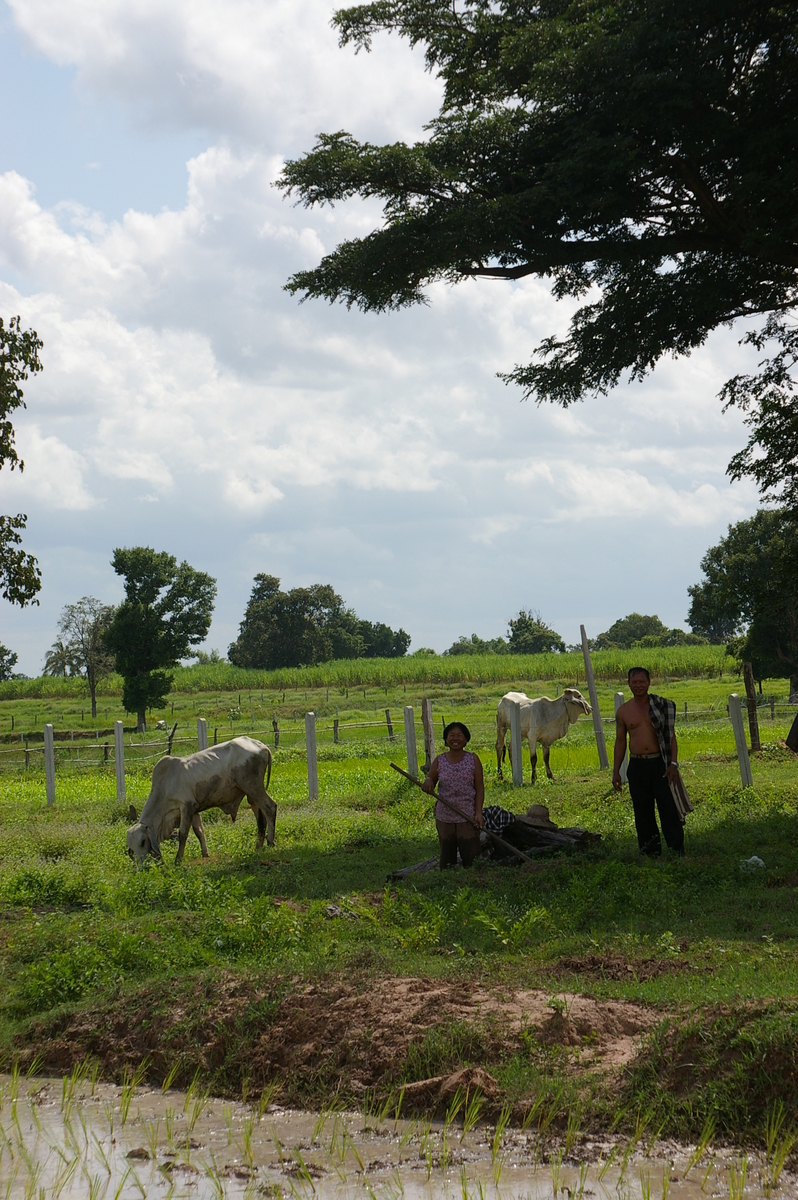 f:id:AkahigeACEC:20210611221500j:plain