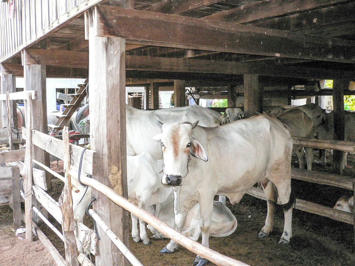 f:id:AkahigeACEC:20210616125448j:plain