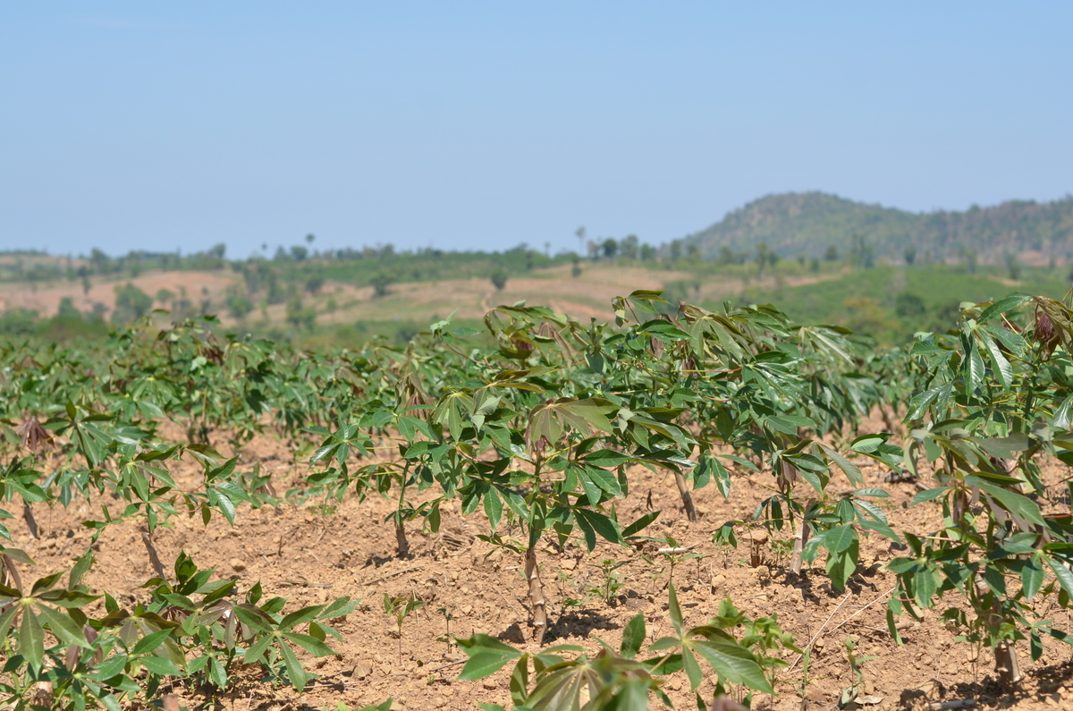 f:id:AkahigeACEC:20210616131504j:plain