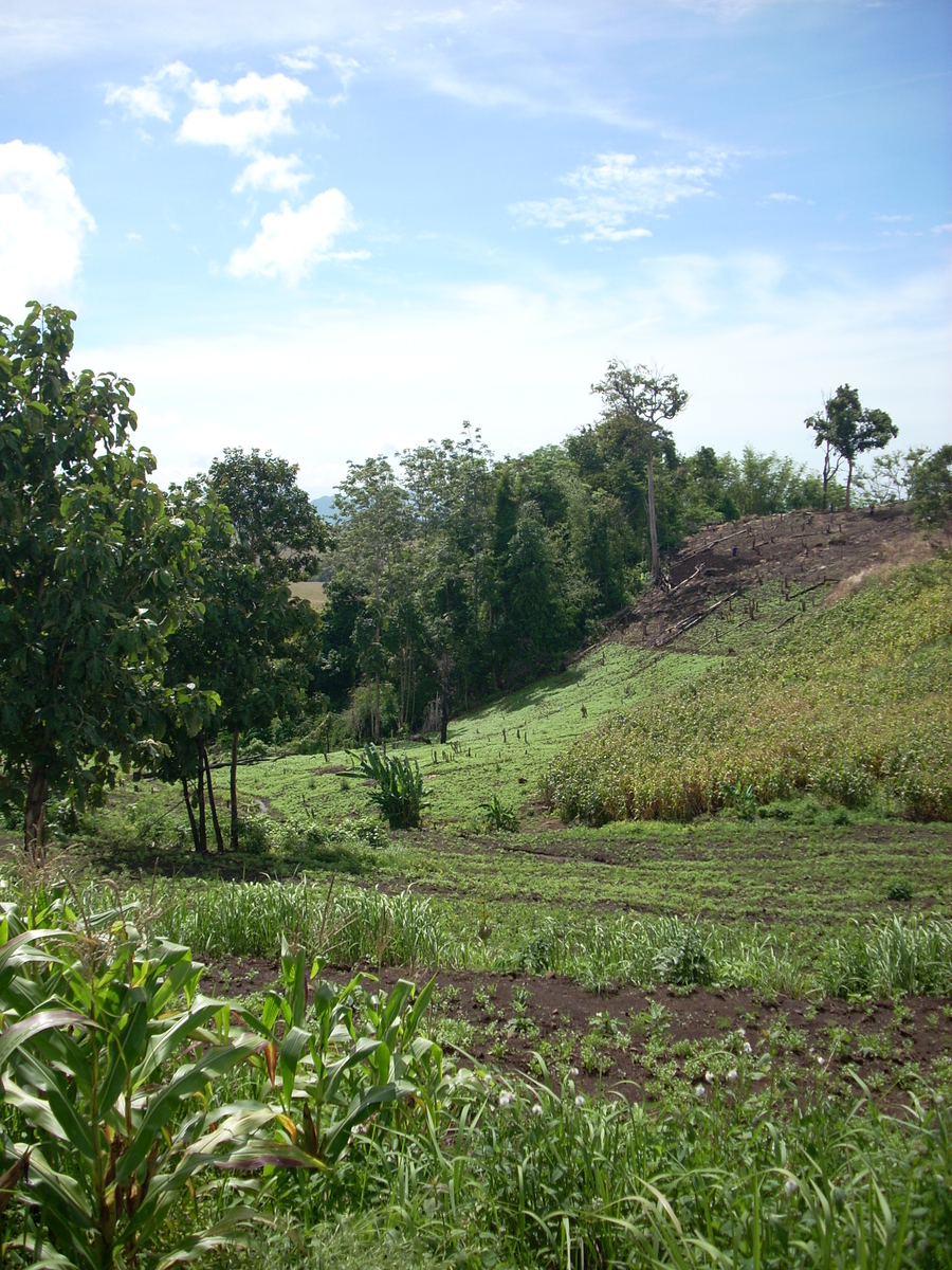 f:id:AkahigeACEC:20210616131627j:plain