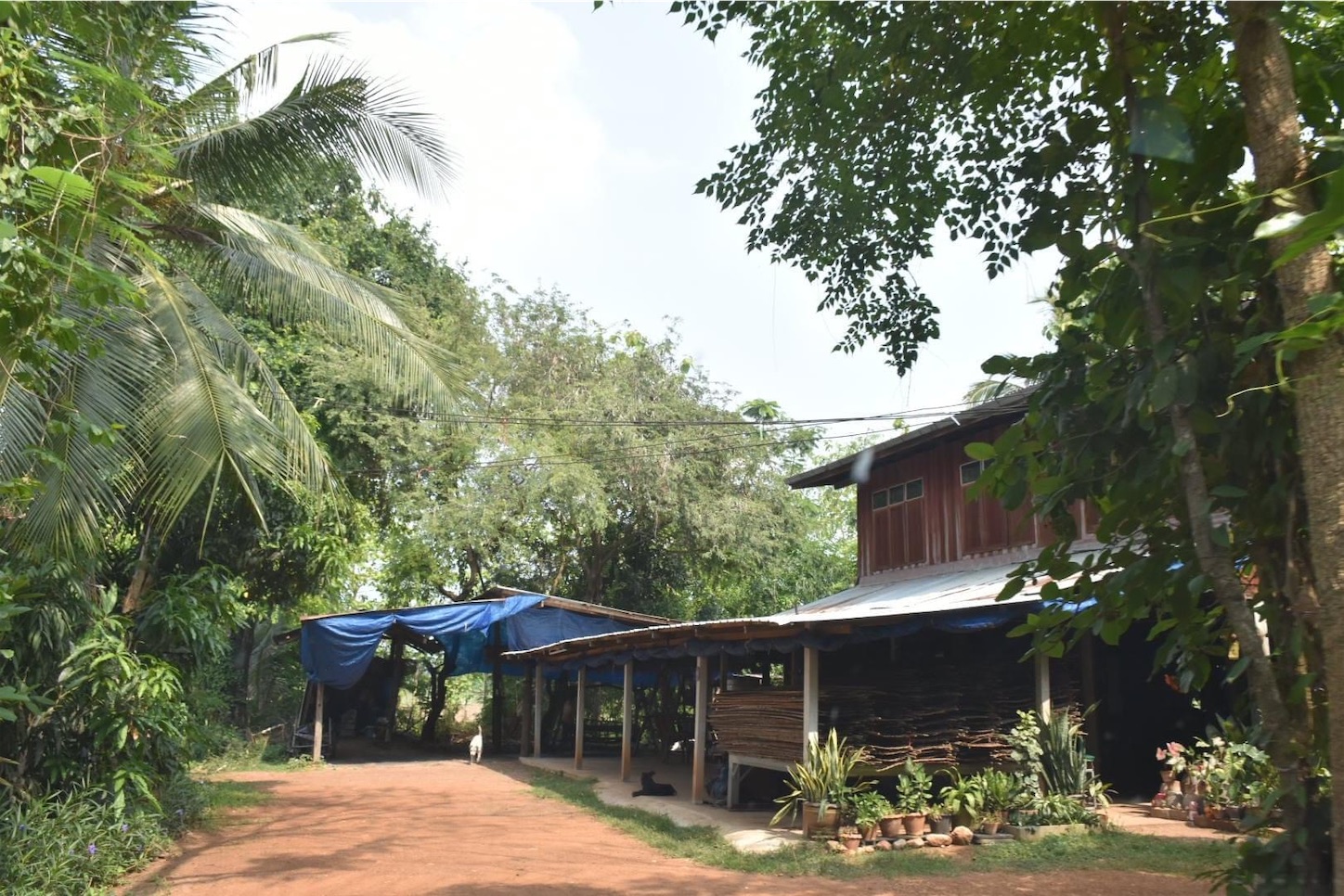 f:id:AkahigeACEC:20220518222136j:image f:id:AkahigeACEC:20220518222136j:image