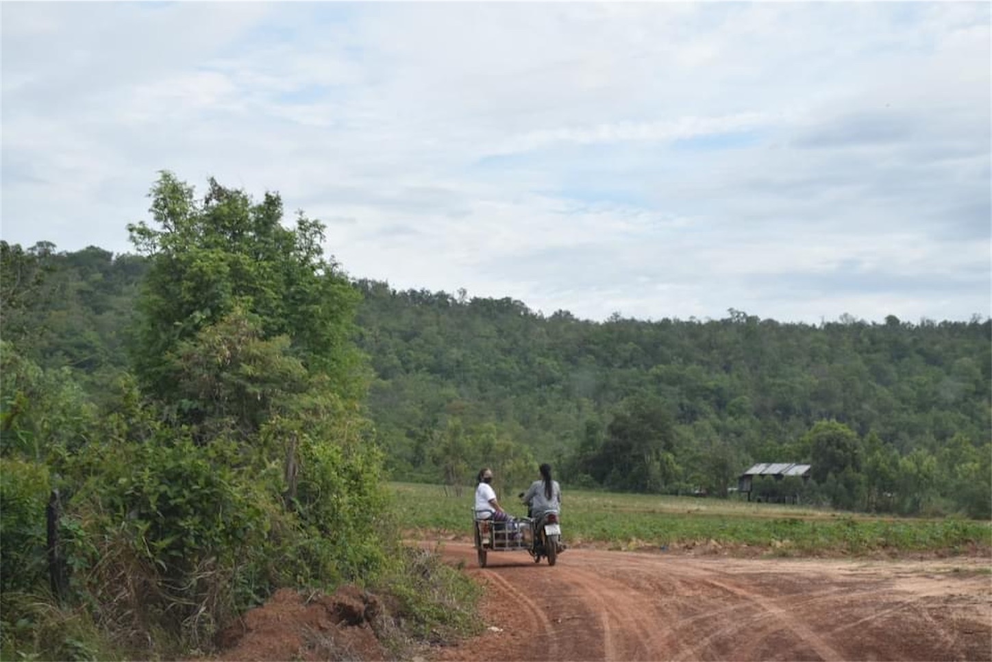 f:id:AkahigeACEC:20220518222309j:image f:id:AkahigeACEC:20220518222309j:image