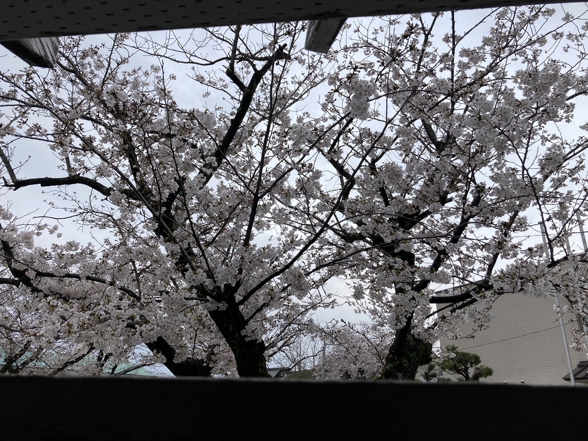 f:id:Akanegumo172:20210323185658j:plain