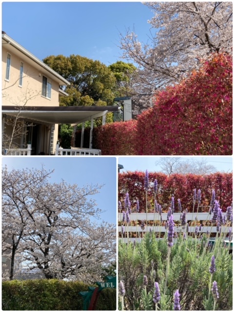 f:id:Akanegumo172:20210323194446j:plain