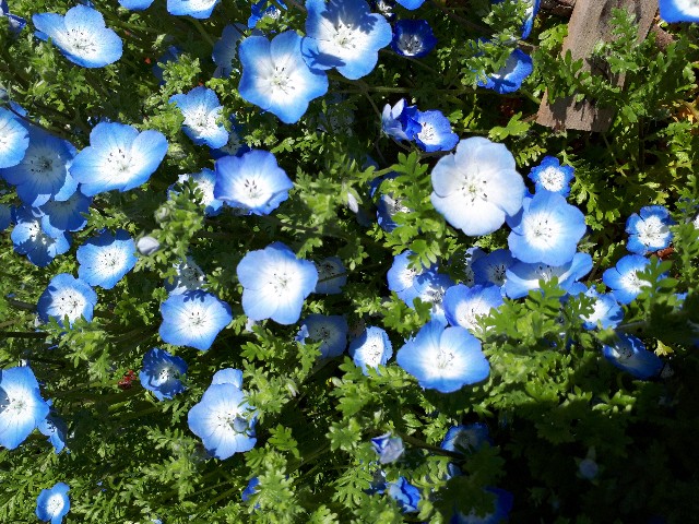 f:id:Akanji:20200312211646j:image f:id:Akanji:20200312211646j:image