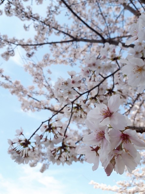 f:id:Akanji:20210327212437j:image f:id:Akanji:20210327212437j:image
